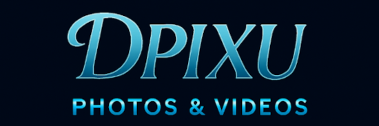 DPIXU Logo