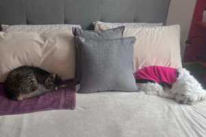 TILLY-MOLLY(002)