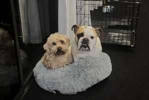 OLLIE-ZARA-JULY24-25