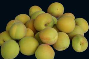 APRICOTS(001)