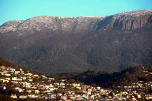 MT-WELLINGTON-02